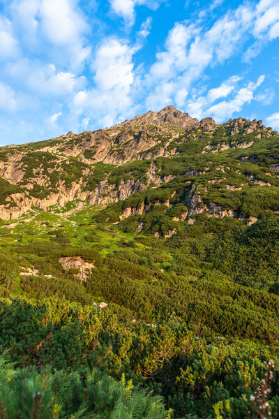 Alpine trail in Tatra Mountains, Poland at summer. Scenic landscape and nature.